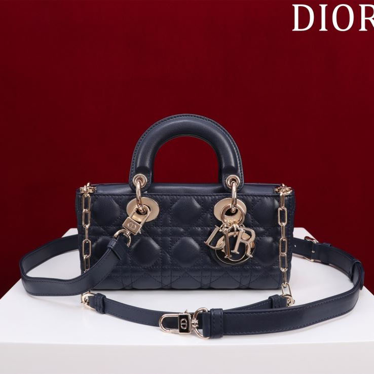 chr1st1an D10r my lady bags